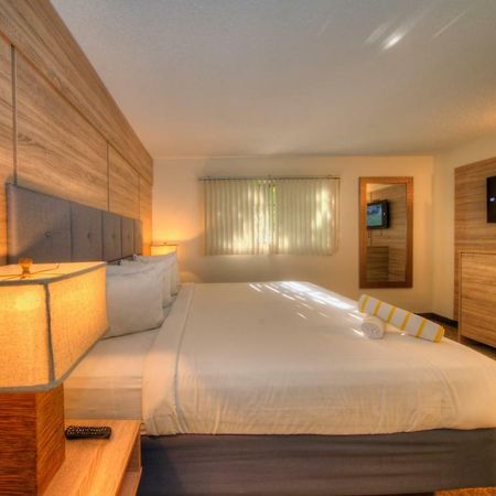 Club Lux Resort By The Beach Deerfield Beach Exteriör bild